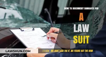 Documenting Damages Effectively: Essential Steps for Winning Your Lawsuit