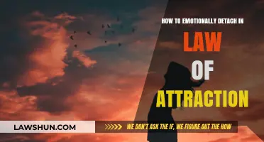 Master Emotional Detachment: Enhance Your Law of Attraction Practice