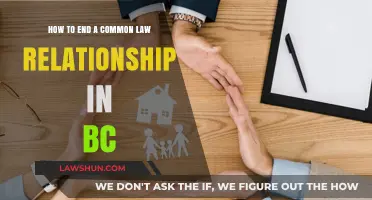 Navigating the End of Common Law in BC