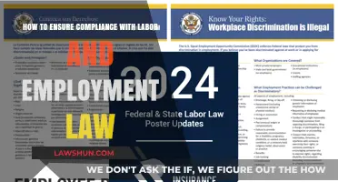 Navigating Labor Laws: Essential Strategies for Compliance and Risk Mitigation