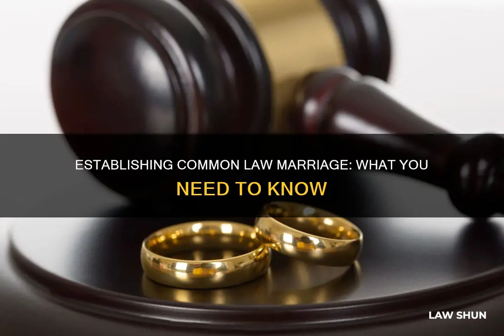 how to establish a common law marriage