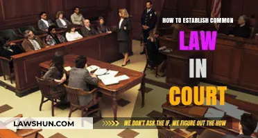 Establishing Common Law Marriage in Court