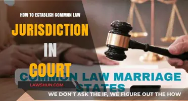 Asserting Common Law Jurisdiction: Strategies for Court Success