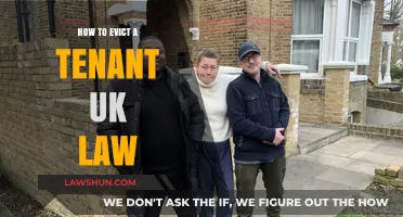 Evicting a Tenant: Understanding Your Rights as a UK Landlord