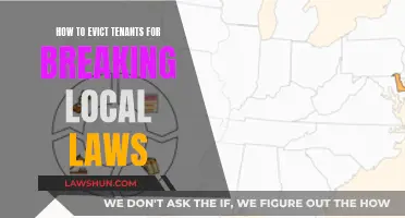 Evicting Tenants for Breaking Local Laws: A Guide for Landlords