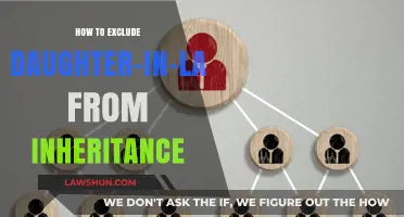 Strategies to Legally Exclude Daughter-in-Law from Family Inheritance