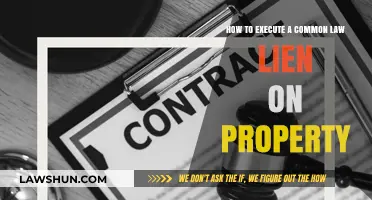 Executing Common Law Liens: Property Claims Simplified