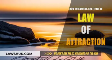 Expressing Gratitude: A Powerful Key to Unlocking Law of Attraction Success