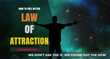 Master the Law of Attraction: Simple Steps to Feel Better Instantly