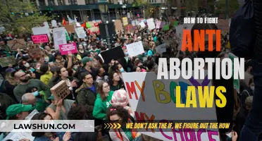 Fighting Anti-Abortion Laws: Strategies for Resistance