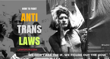 Trans Rights: Strategies to Challenge Anti-Trans Laws