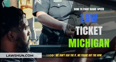Fight Michigan Basic Speed Law Ticket: Proven Strategies to Win