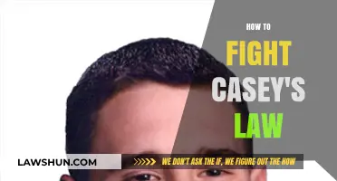 Navigating Legal Battles: Strategies to Challenge Casey's Law