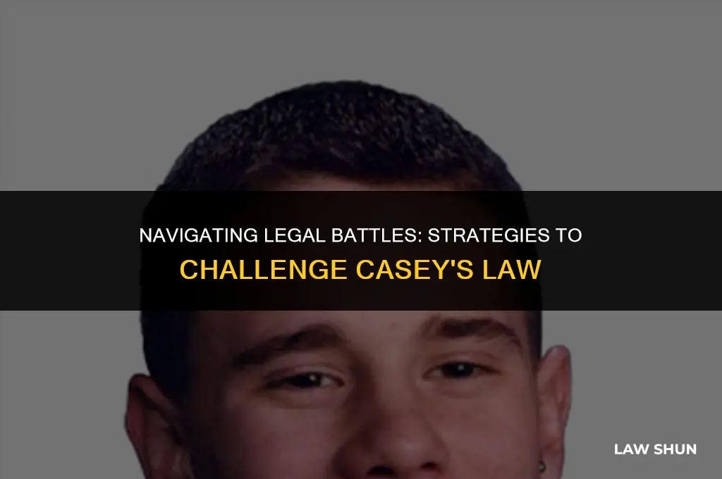 how to fight casey