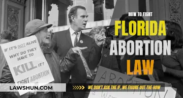 Fighting Florida's Abortion Law: Strategies for Resistance and Change