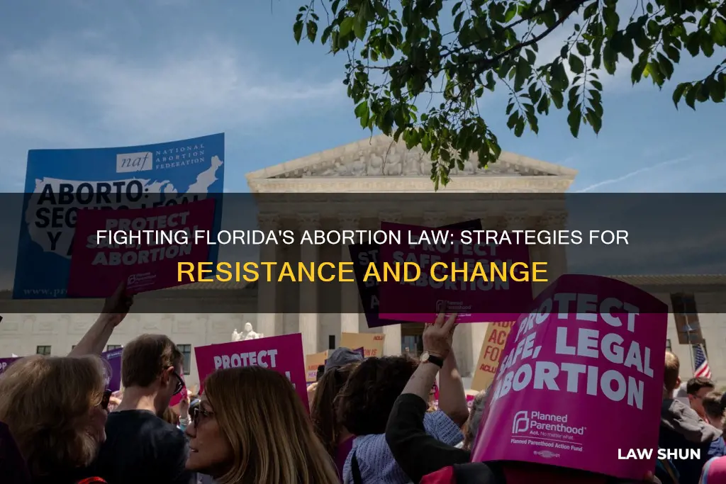 how to fight florida abortion law