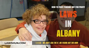 Challenging Albany's Not-for-Profit Funding Laws: Strategies for Advocacy and Reform