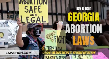 Fighting Georgia's Abortion Laws: Strategies for Resistance