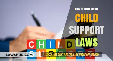 Challenging Unfair Child Support Laws: Strategies for Justice and Reform