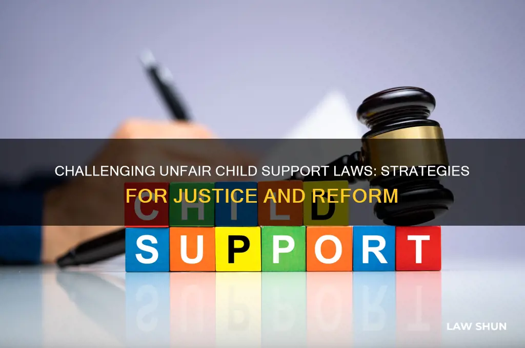 how to fight unfair child support laws