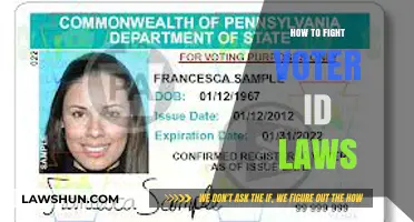 Combating Voter ID Laws: Strategies for Protecting Voting Rights