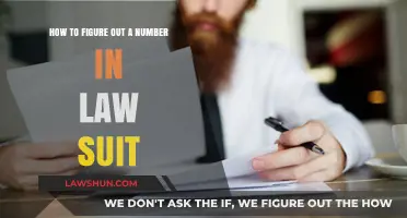 Decoding Legal Numbers: A Step-by-Step Guide to Identifying Key Figures in Lawsuits