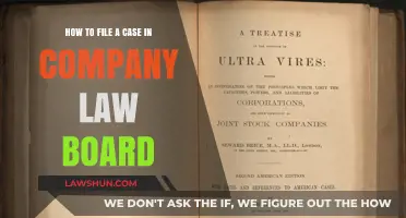 Company Law Board: Filing a Case Simplified