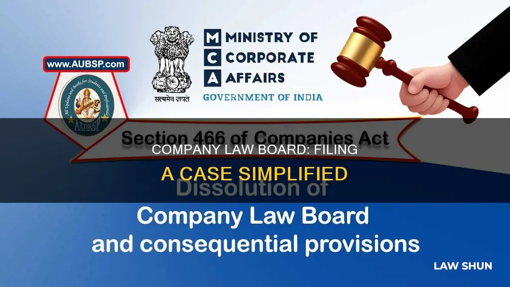how to file a case in company law board