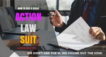 Filing a Class Action Lawsuit: Step-by-Step Guide for Justice Seekers