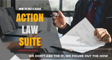 Filing a Class Action Lawsuit: Step-by-Step Guide for Plaintiffs