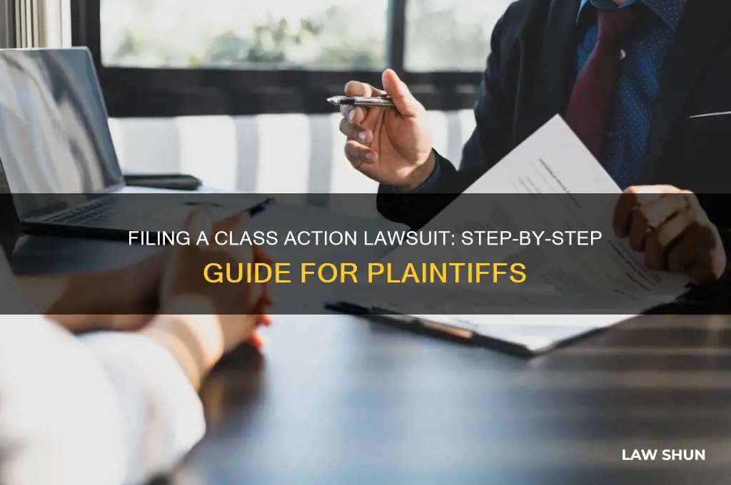 how to file a class action law suite