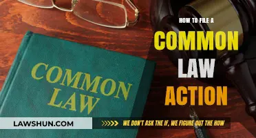 Common Law Action: Filing a Lawsuit Without a Lawyer