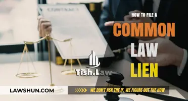 Understanding Common Law Lien Filing Process