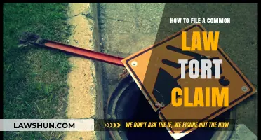Tort Law: Filing Common Law Claims