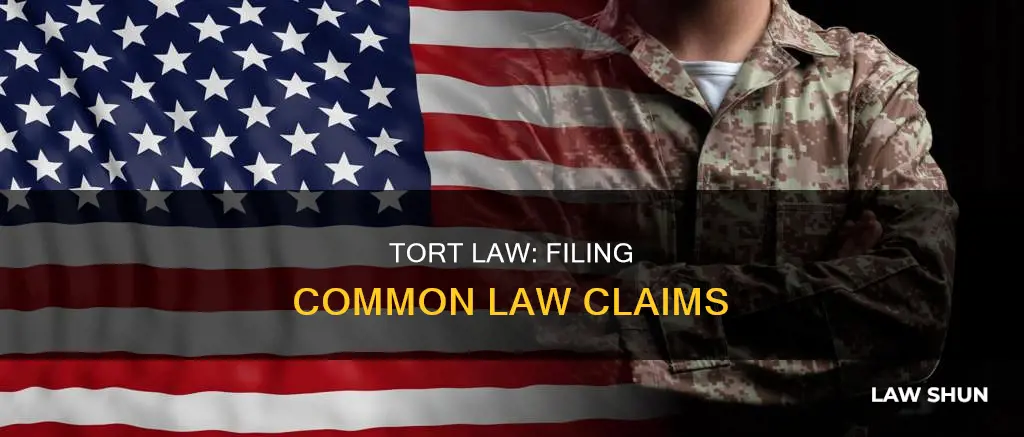 how to file a common law tort claim