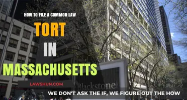 Filing Common Law Torts in Massachusetts: A Guide