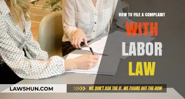 Filing a Labor Law Complaint: Step-by-Step Guide for Workers