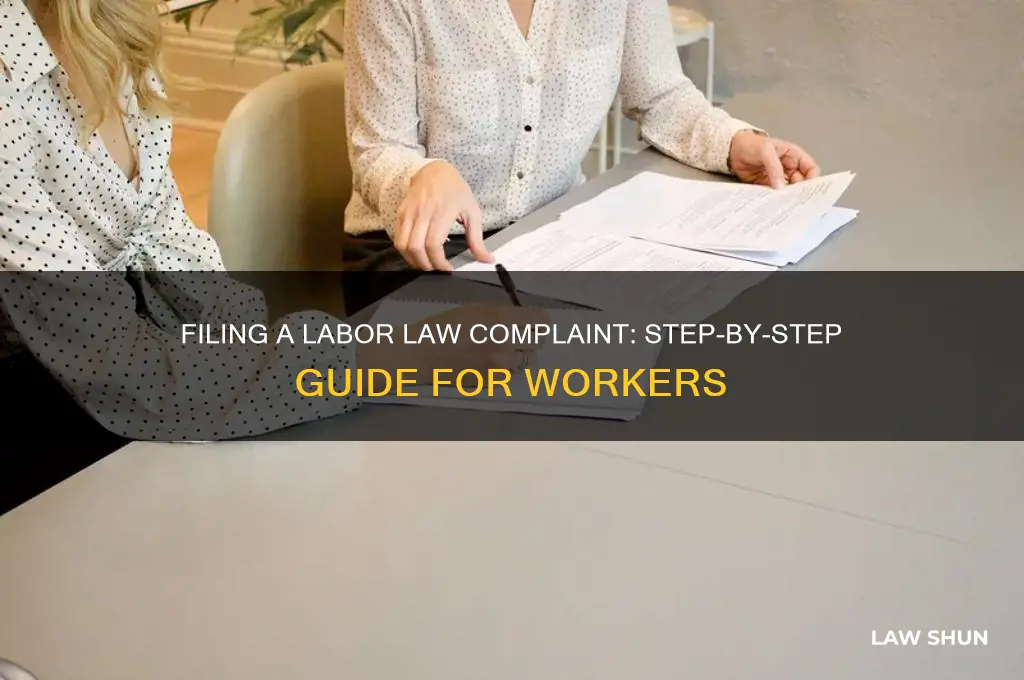 how to file a complaint with labor law