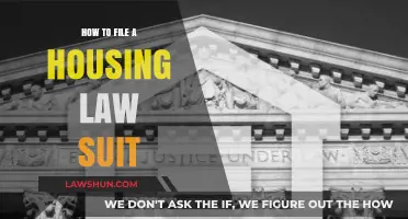 Filing a Housing Lawsuit: Essential Steps to Protect Your Rights