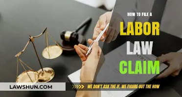 Filing a Labor Law Claim: Essential Steps for Workers' Rights Protection