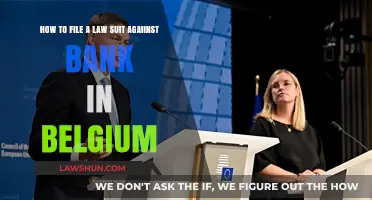 Filing a Lawsuit Against a Bank in Belgium: A Step-by-Step Guide