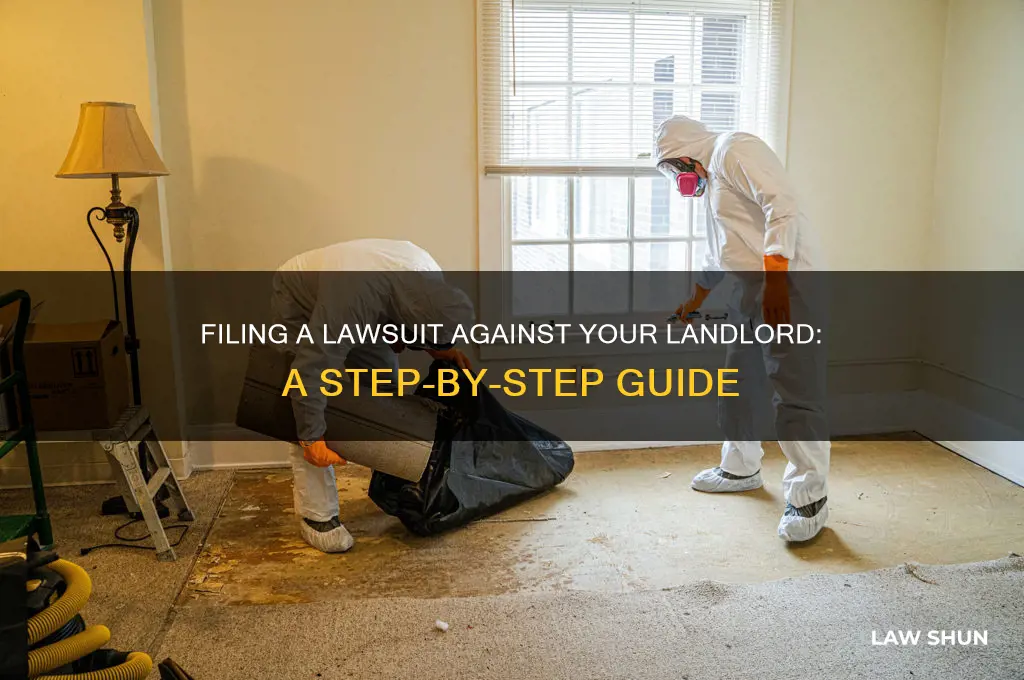 how to file a law suit againdt a landlord