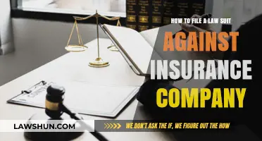 Filing a Lawsuit Against Your Insurance Company: A Step-by-Step Guide