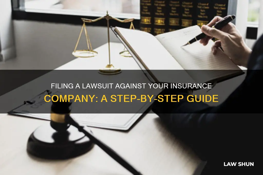 how to file a law suit against insurance company