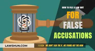 Defending Your Reputation: A Guide to Filing Lawsuits for False Accusations