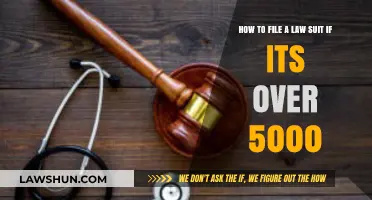 Filing a Lawsuit Over $5,000: A Step-by-Step Legal Guide