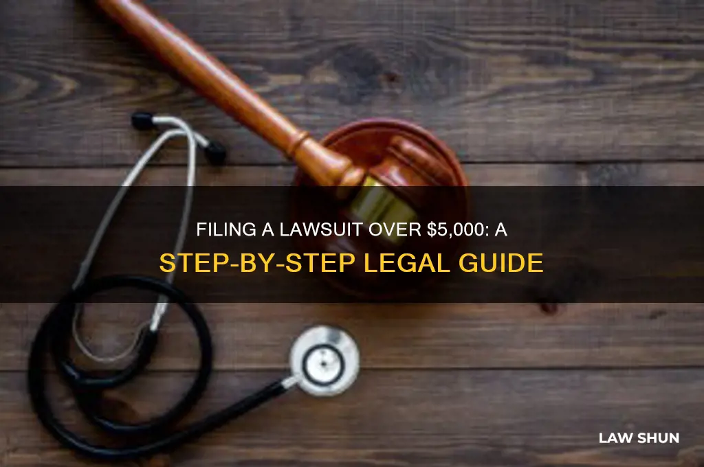how to file a law suit if its over 5000
