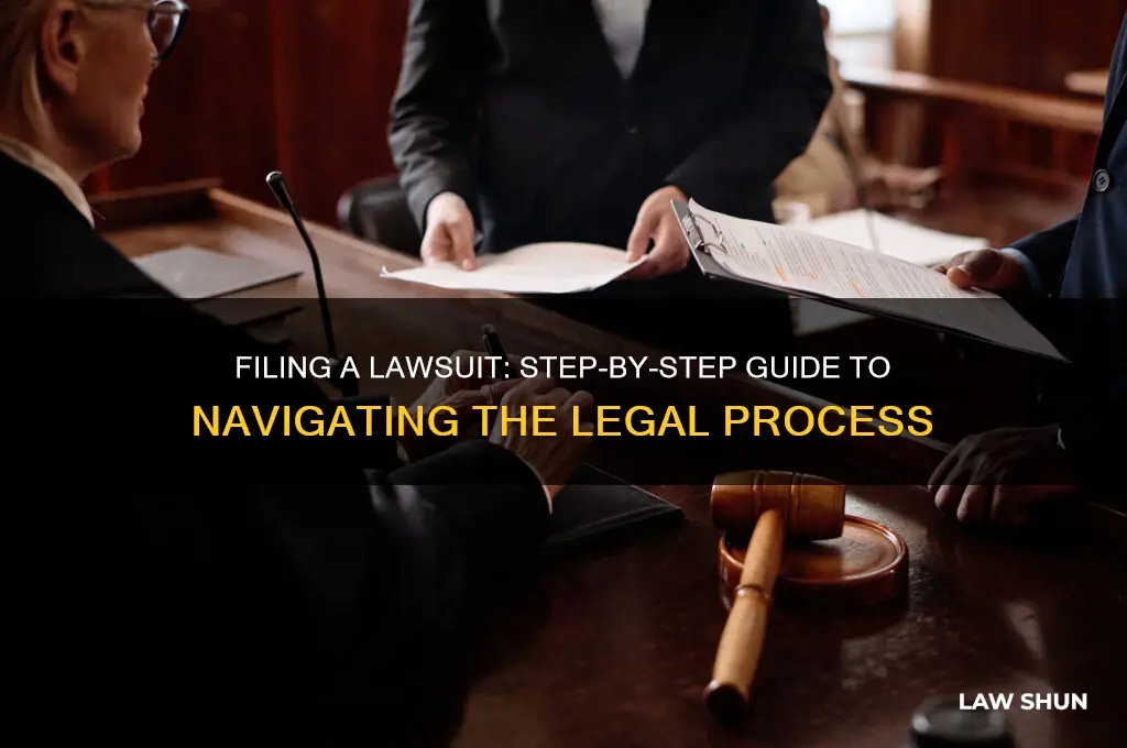 how to file a law suit