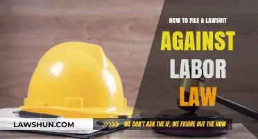 Filing a Labor Law Lawsuit: Step-by-Step Guide to Protect Your Rights