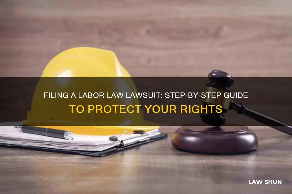 how to file a lawsuit against labor law